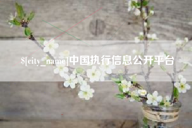 湘西中国执行信息公开平台