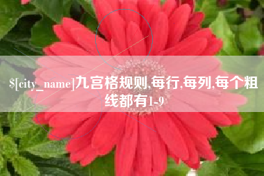 湘西九宫格规则,每行,每列,每个粗线都有1-9