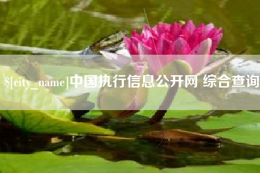 湘西中国执行信息公开网 综合查询