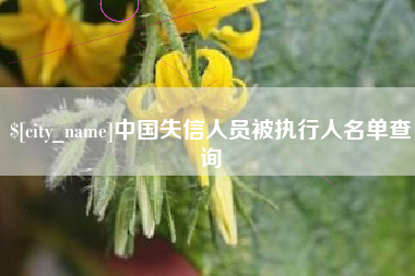 湘西中国失信人员被执行人名单查询