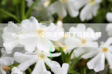 湘西中国金牌得了几枚金牌