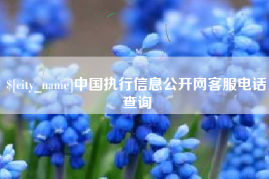 湘西中国执行信息公开网客服电话查询