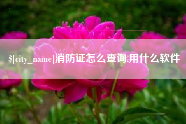 湘西消防证怎么查询,用什么软件