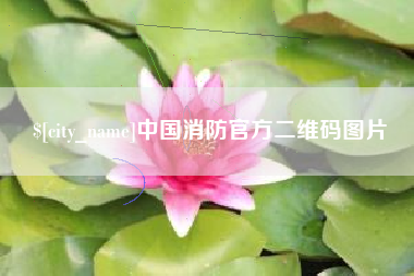 湘西中国消防官方二维码图片