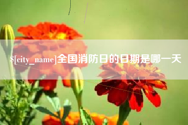 湘西全国消防日的日期是哪一天