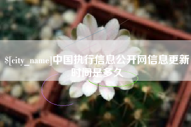 湘西中国执行信息公开网信息更新时间是多久