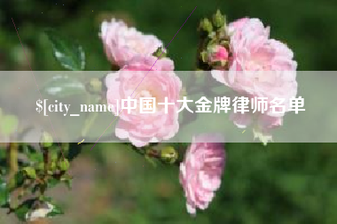 湘西中国十大金牌律师名单