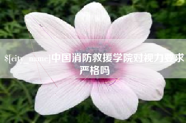 湘西中国消防救援学院对视力要求严格吗