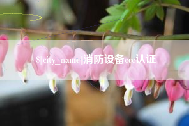 湘西消防设备ccc认证