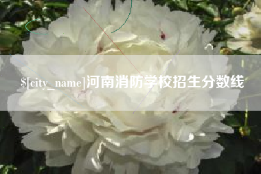 湘西河南消防学校招生分数线