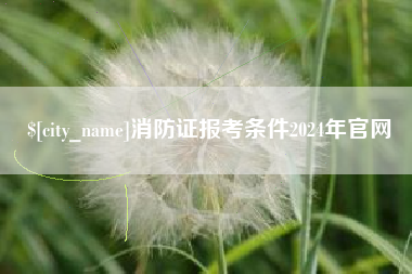 湘西消防证报考条件2024年官网