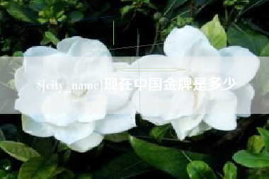 湘西现在中国金牌是多少