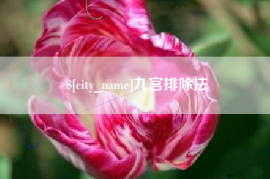 湘西九宫排除法