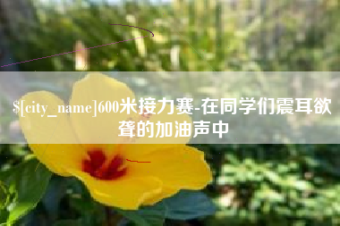 湘西600米接力赛-在同学们震耳欲聋的加油声中