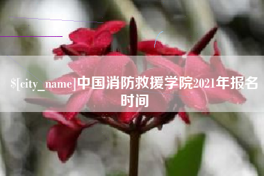 湘西中国消防救援学院2021年报名时间