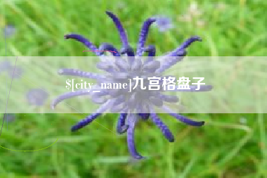 湘西九宫格盘子