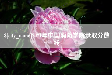 湘西2021年中国消防学院录取分数线