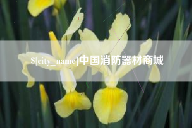 湘西中国消防器材商城