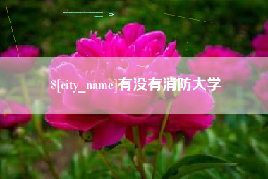 湘西有没有消防大学