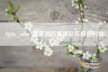 湘西国家消防救援队伍报名网址