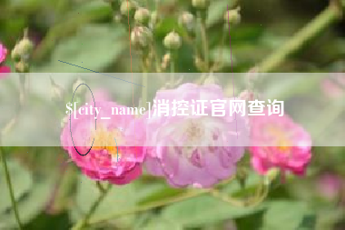 湘西消控证官网查询