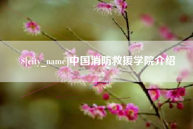 湘西中国消防救援学院介绍