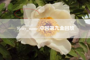 湘西中国第九金回放