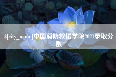 湘西中国消防救援学院2021录取分数