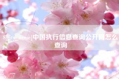 湘西中国执行信息查询公开网怎么查询
