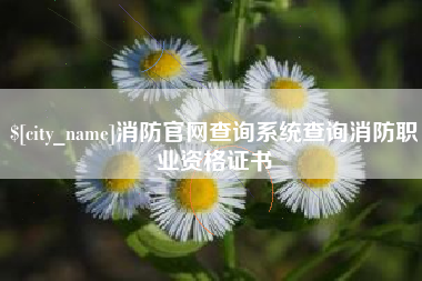湘西消防官网查询系统查询消防职业资格证书