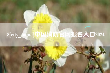湘西中国消防官网报名入口2024