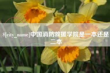 湘西中国消防救援学院是一本还是二本