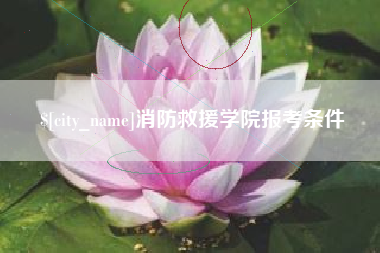 湘西消防救援学院报考条件