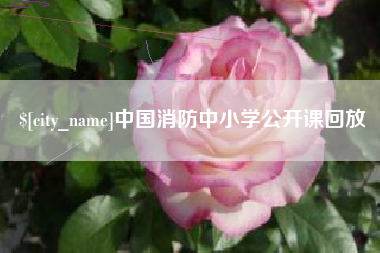 湘西中国消防中小学公开课回放