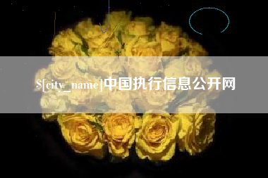 湘西中国执行信息公开网