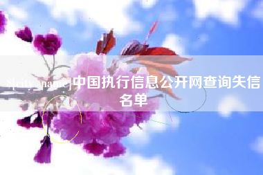 湘西中国执行信息公开网查询失信名单