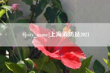 湘西上海消防员2021
