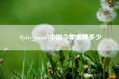 湘西中国今年金牌多少