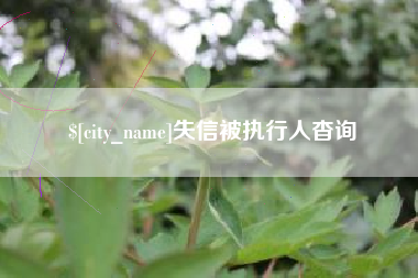 湘西失信被执行人杳询