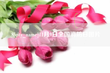 湘西11月9日全国消防日图片