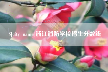 湘西浙江消防学校招生分数线