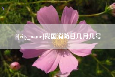 湘西我国消防日几月几号