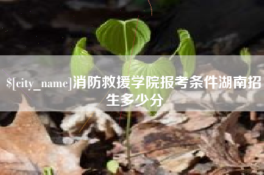 湘西消防救援学院报考条件湖南招生多少分