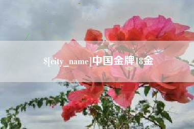 湘西中国金牌18金