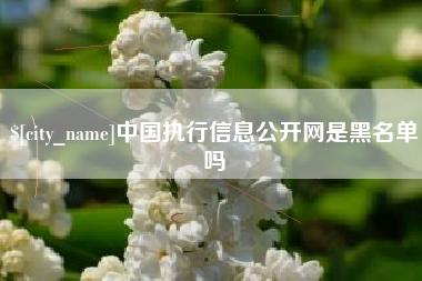 湘西中国执行信息公开网是黑名单吗