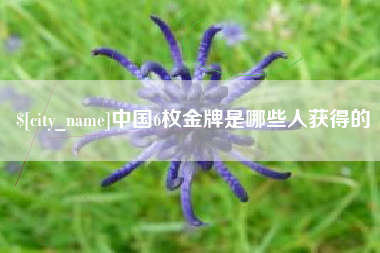 湘西中国6枚金牌是哪些人获得的
