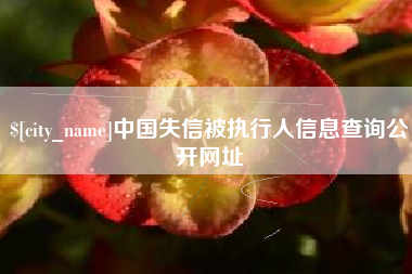 湘西中国失信被执行人信息查询公开网址