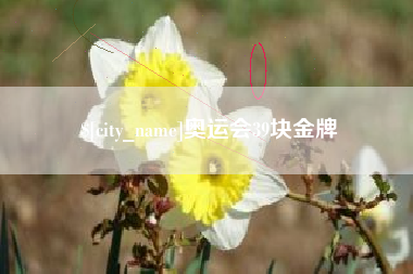 湘西奥运会39块金牌