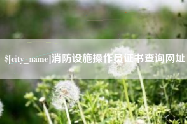 湘西消防设施操作员证书查询网址