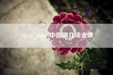 湘西中国哪几项金牌